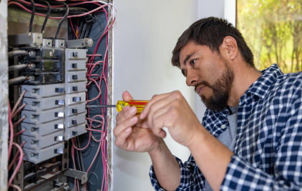 Best Ceiling Fan Installation Electrician  in Pinewood, FL